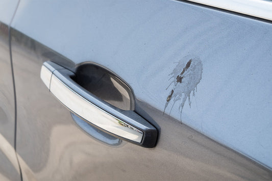 Removing bird, bat & bug stains.